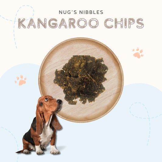 Air Dried Kangaroo Chips