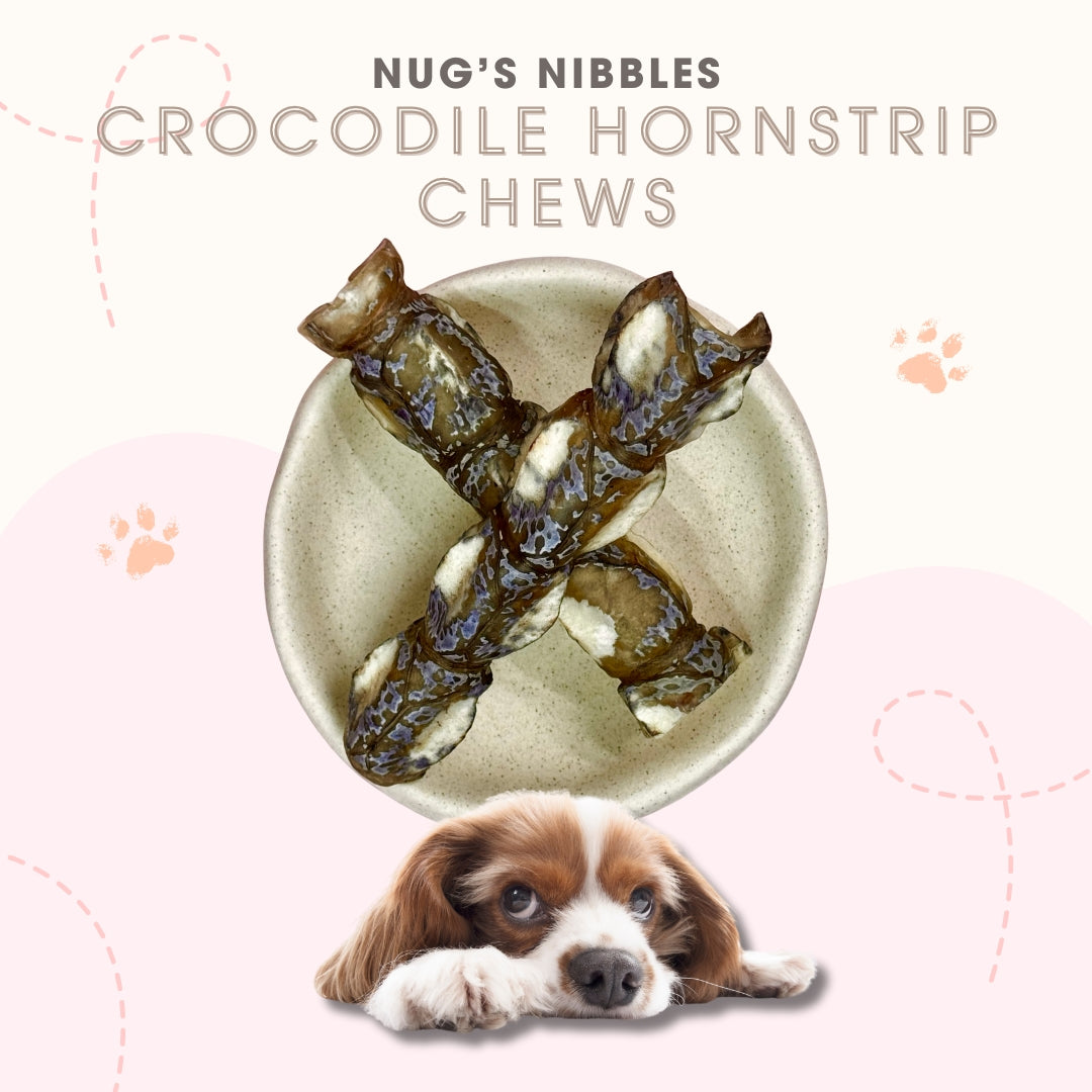 Air Dried Crocodile Hornstrip Chews