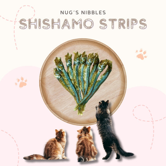 Air Dried Shishamo Strips