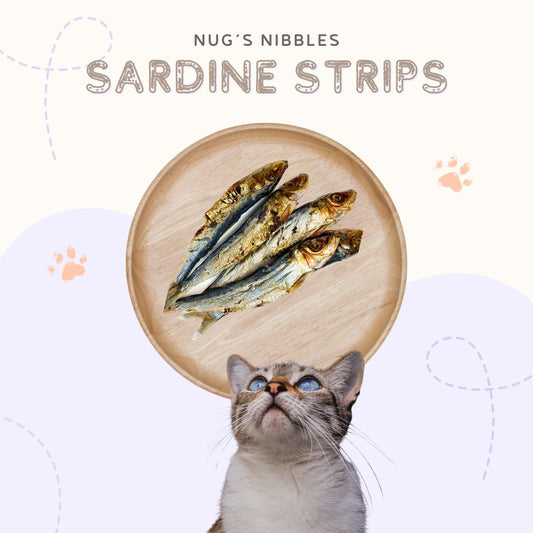 Air Dried Sardine Strips