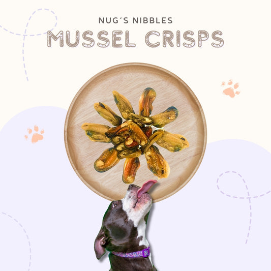 Air Dried Mussel Crisps