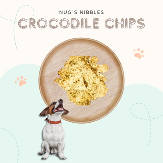 Air Dried Crocodile Chips