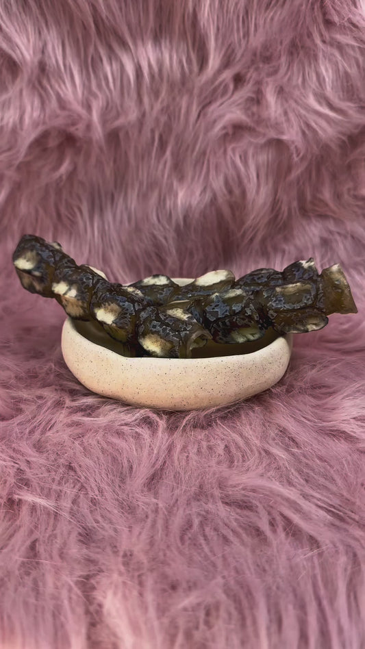 Air Dried Crocodile Hornstrip Chews