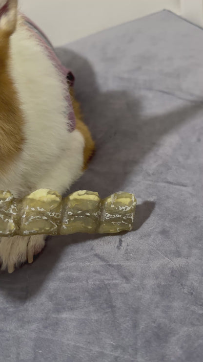 Air Dried Crocodile Hornstrip Chews